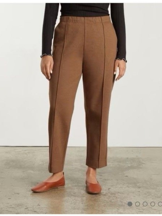 Everlane Pants - Everlane Dream Pants In Size Large Womens